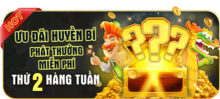 Chương trình VIP 3WIM